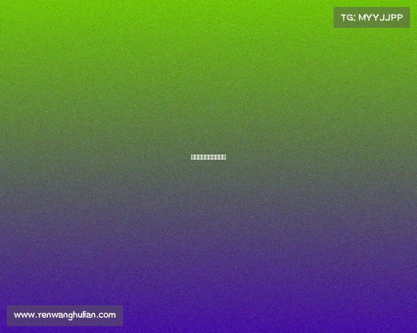 游艇赛事、游艇锦标赛